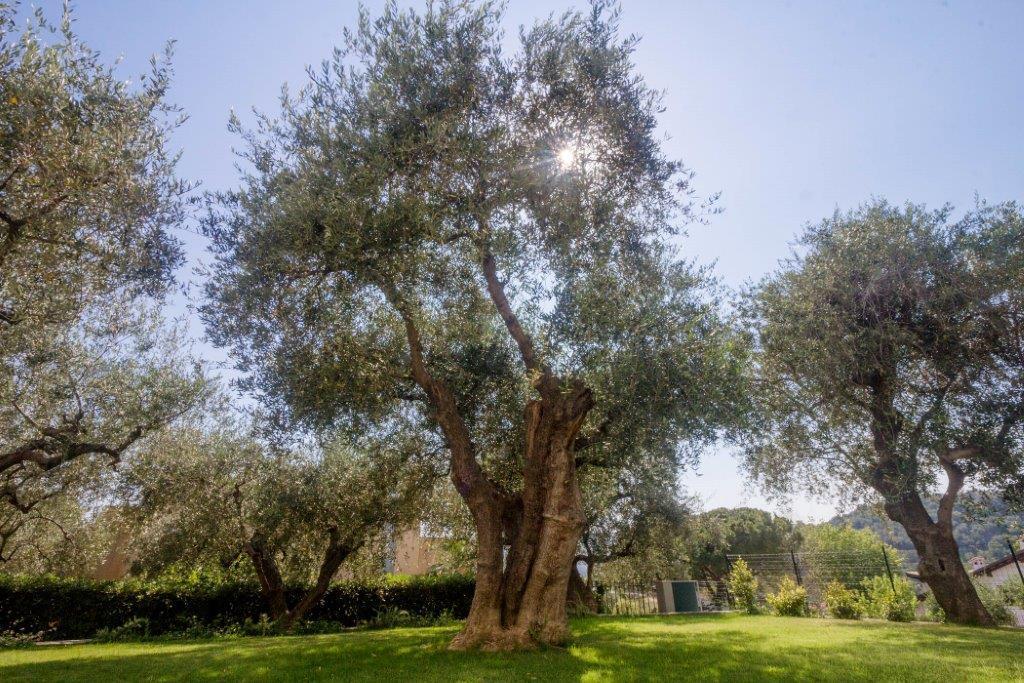 דיאנו מרינה Sugli Allori מראה חיצוני תמונה